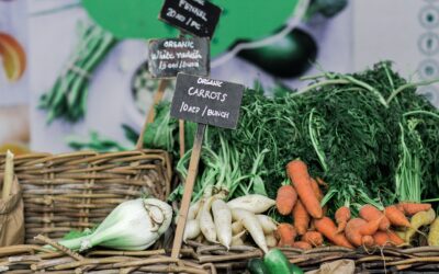 TRADETIP | Opportunities for Organic products in Spain | AUGUST 2020