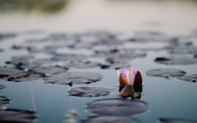 5 Life Changes Psychotherapy Could Help You Navigate