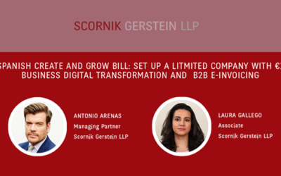 THE NEW SPANISH CREATE AND GROW LAW: SETTING UP A LIMITED COMPANY WITH A CAPITAL OF JUST 1 EURO, BUSINESS DIGITAL TRANSFORMATION AND B2B E-INVOICING