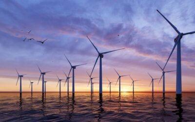 The Expansion of Offshore Wind Energy and Infrastructure in the UK: Opportunities for Businesses